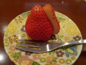 DSC08380_R