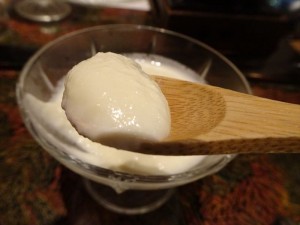 DSC00538_R
