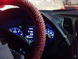 DSC03149_R