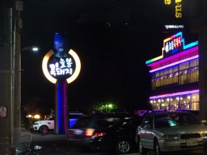 DSC03236_R