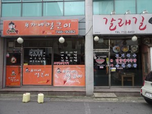 DSC03259_R
