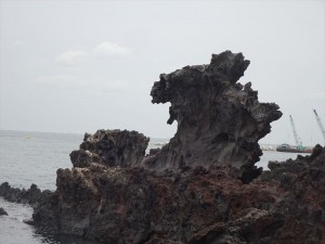 DSC03296_R