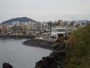 DSC03307_R