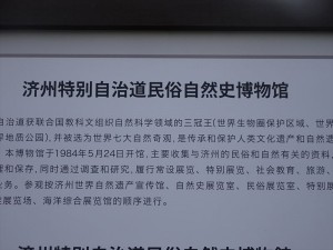 DSC03319_R