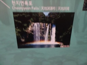 DSC03338_R