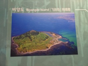 DSC03339_R