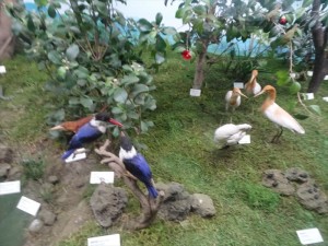 DSC03341_R