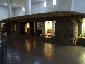 DSC03349_R