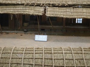 DSC03354_R