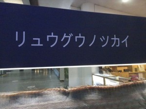 DSC03378_R