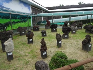 DSC03379_R