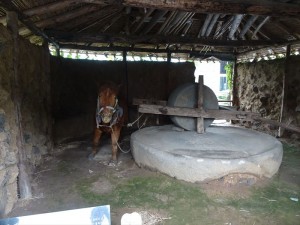 DSC03380_R