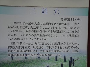 DSC03384_R