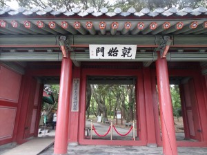 DSC03389_R