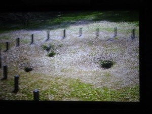 DSC03394_R
