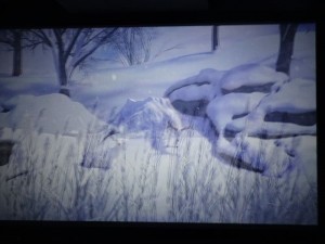 DSC03396_R