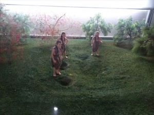 DSC03412_R