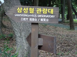 DSC03419_R