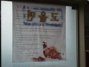 DSC03428_R