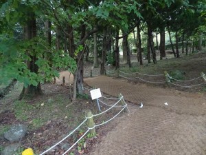 DSC03476_R