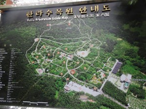 DSC03477_R