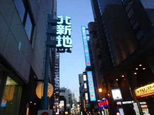 DSC08738_R