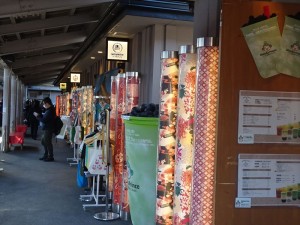 DSC00203_R