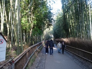 DSC00217_R