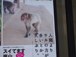 DSC00220_R