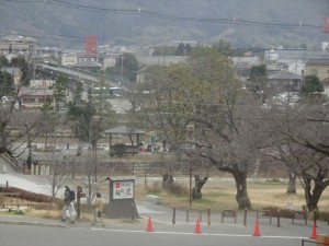 DSC00338_R