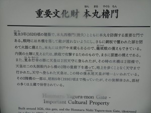 DSC00368_R